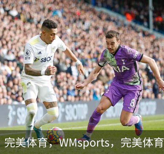 关于完美体育，WMsports，完美体育官方，完美体育平台，完美体育下载